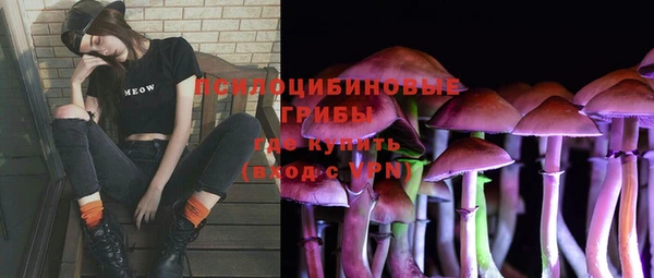 индика Беломорск