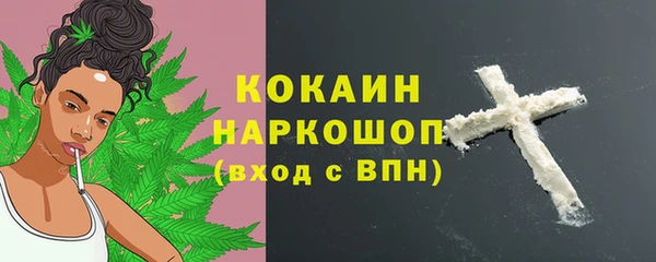 индика Беломорск