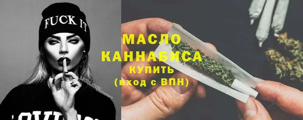 индика Беломорск