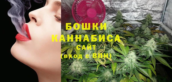 индика Беломорск