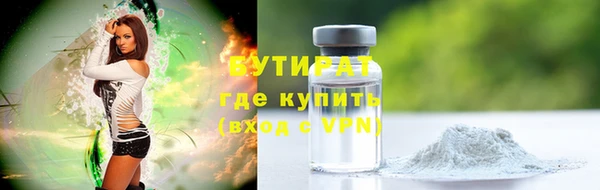 стаф Ельня
