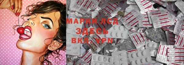 индика Беломорск