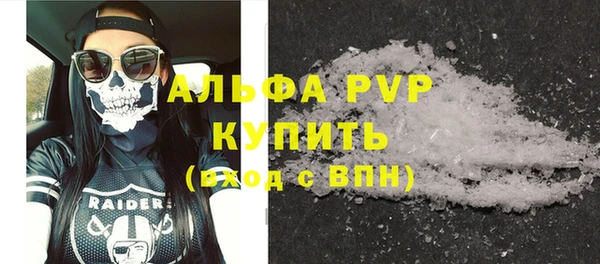 индика Беломорск