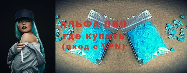 индика Беломорск