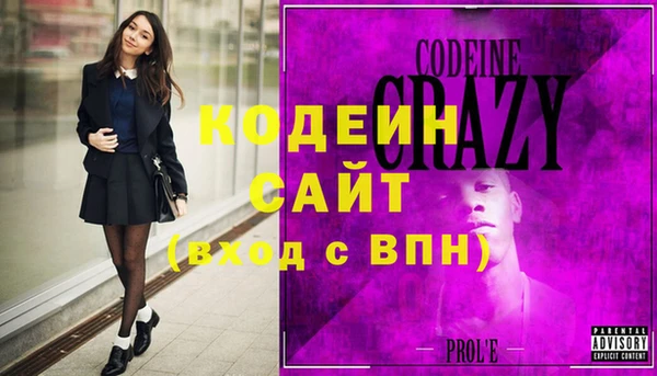 индика Беломорск