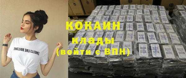 индика Беломорск