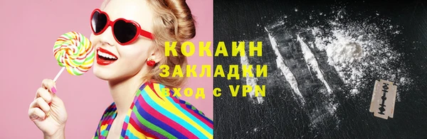 индика Беломорск
