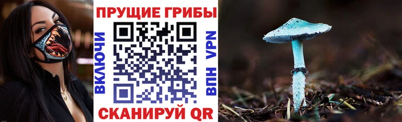 Псилоцибиновые грибы ЛСД  Курчатов 
